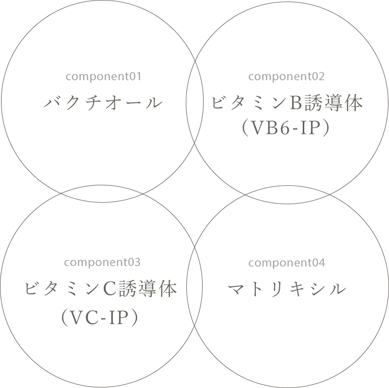 remprichess the oil - エベラオフィシャルショップ(evella