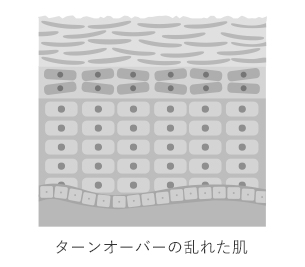 SKIN WATER - エベラオフィシャルショップ(evella Official Shop)